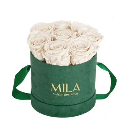 Produit Mila-Roses-01038 Mila Velvet Small Emeraude Velvet Small - White Cream
