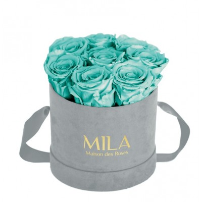 Produit Mila-Roses-01048 Mila Velvet Small Light Grey Velvet Small - Aquamarine