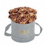  Mila-Roses-01051 Mila Velvet Small Light Grey Velvet Small - Metallic Copper