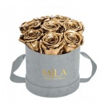 Mila-Roses-01053 Mila Velvet Small Light Grey Velvet Small - Metallic Gold