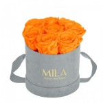  Mila-Roses-01055 Mila Velvet Small Light Grey Velvet Small - Orange Bloom