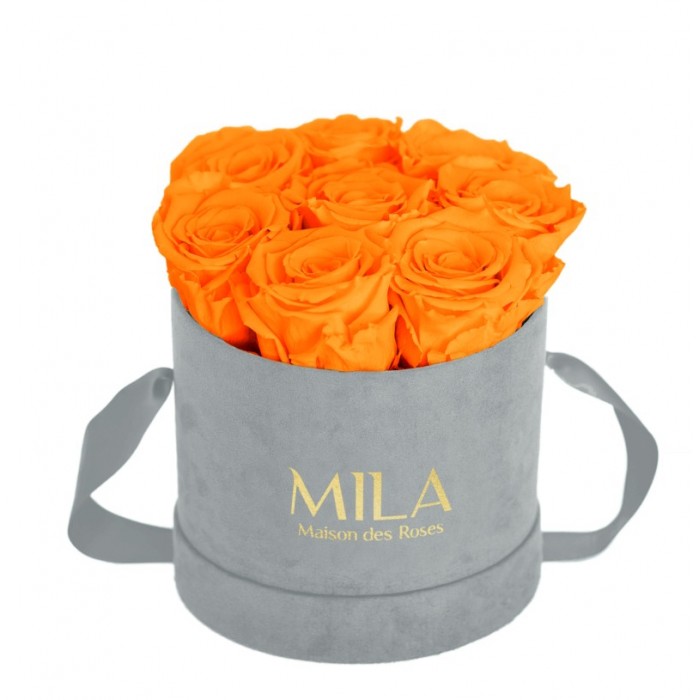 Mila Velvet Small Light Grey Velvet Small - Orange Bloom
