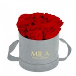  Mila-Roses-01057 Mila Velvet Small Light Grey Velvet Small - Rouge Amour