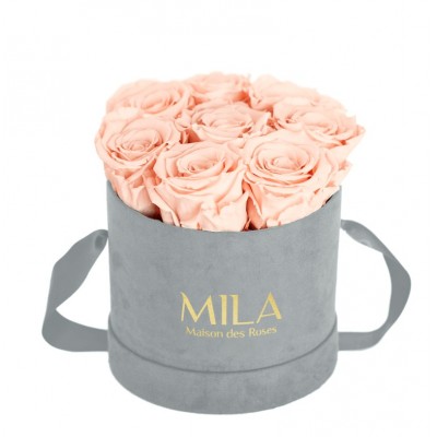 Produit Mila-Roses-01058 Mila Velvet Small Light Grey Velvet Small - Pure Peach