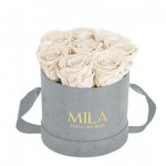  Mila-Roses-01062 Mila Velvet Small Light Grey Velvet Small - White Cream