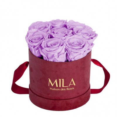 Produit Mila-Roses-01070 Mila Velvet Small Burgundy Velvet Small - Lavender