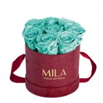  Mila-Roses-01072 Mila Velvet Small Burgundy Velvet Small - Aquamarine