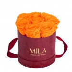  Mila-Roses-01079 Mila Velvet Small Burgundy Velvet Small - Orange Bloom