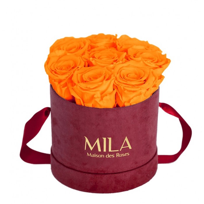 Mila Velvet Small Burgundy Velvet Small - Orange Bloom