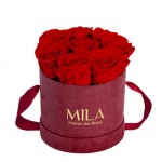  Mila-Roses-01081 Mila Velvet Small Burgundy Velvet Small - Rouge Amour
