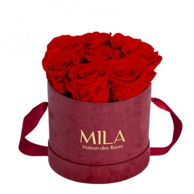 Produit Mila-Roses-01081 Mila Velvet Small Burgundy Velvet Small - Rouge Amour