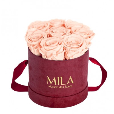 Produit Mila-Roses-01082 Mila Velvet Small Burgundy Velvet Small - Pure Peach
