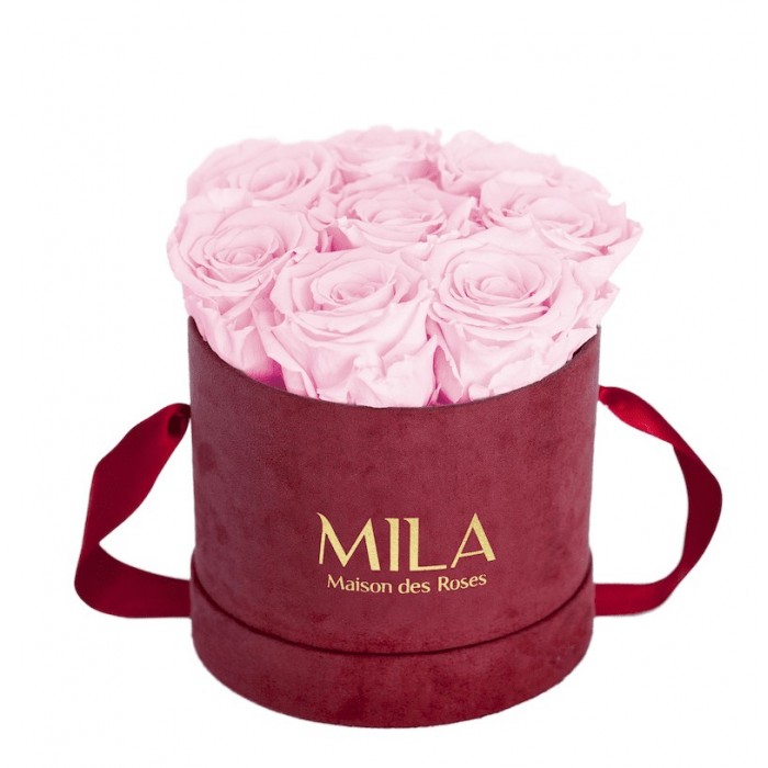 Mila Velvet Small Burgundy Velvet Small - Pink Blush