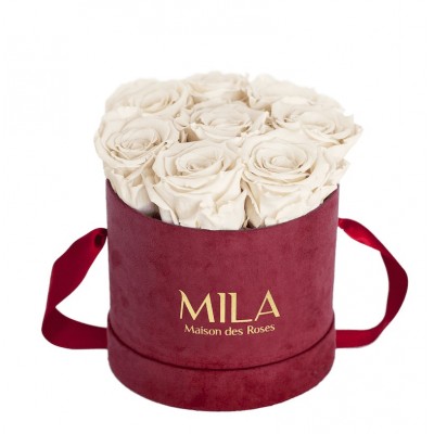 Produit Mila-Roses-01086 Mila Velvet Small Burgundy Velvet Small - White Cream