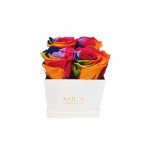  Mila-Roses-01328 Mila Classic Mini White - Rainbow