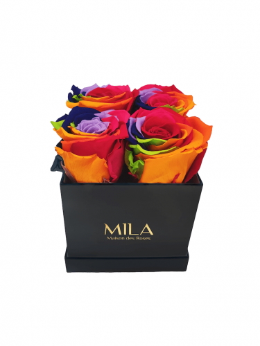 Produit Mila-Roses-01331 Mila Classic Mini Black - Rainbow