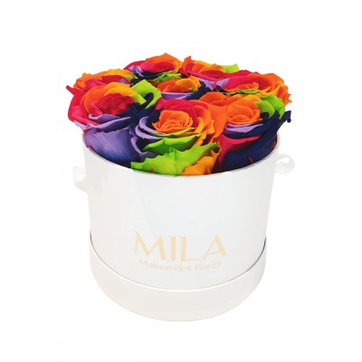 Produit Mila-Roses-01334 Mila Classic Small White - Rainbow