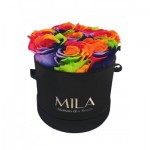  Mila-Roses-01337 Mila Classic Small Black - Rainbow