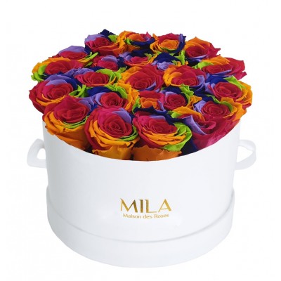 Produit Mila-Roses-01340 Mila Classic Large White - Rainbow