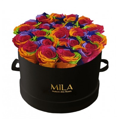 Produit Mila-Roses-01343 Mila Classic Large Black - Rainbow