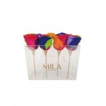  Mila-Roses-01364 Mila Acrylic Mini Table - Rainbow