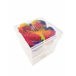  Mila-Roses-01373 Mila Acrylic Mini Bijou - Rainbow
