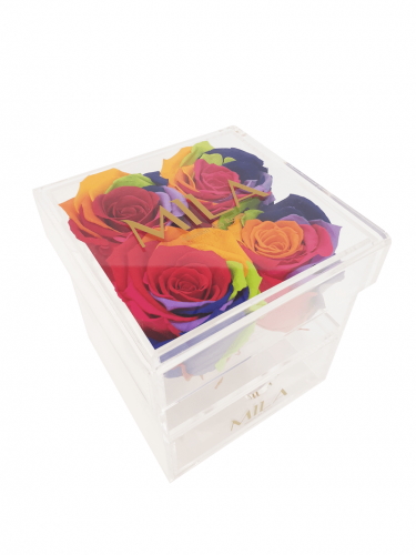 Produit Mila-Roses-01373 Mila Acrylic Mini Bijou - Rainbow