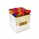  Mila-Roses-01388 Mila Acrylic Mirror - Rainbow