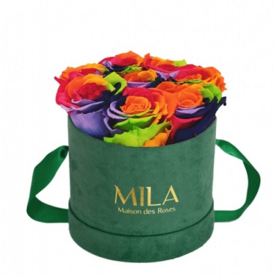 Produit Mila-Roses-01434 Mila Velvet Small Emeraude Velvet Small - Rainbow