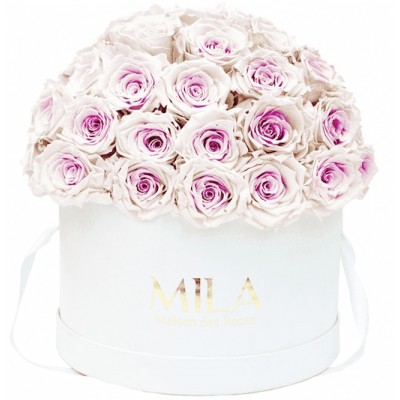 Produit Mila-Roses-01550 Mila Classique Large Dome White - Pink bottom