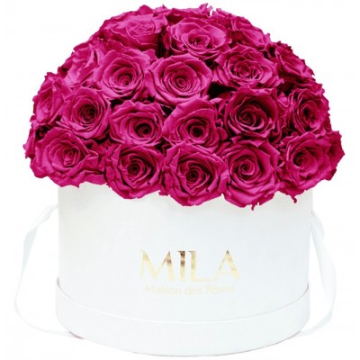 Produit Mila-Roses-01552 Mila Classique Large Dome White - Fuchsia