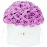  Mila-Roses-01555 Mila Classique Large Dome White - Mauve