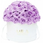  Mila-Roses-01556 Mila Classique Large Dome White - Lavender