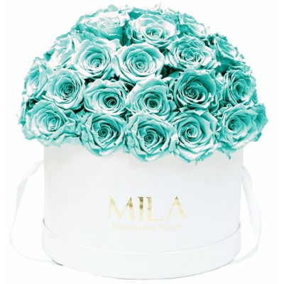 Produit Mila-Roses-01558 Mila Classique Large Dome White - Aquamarine