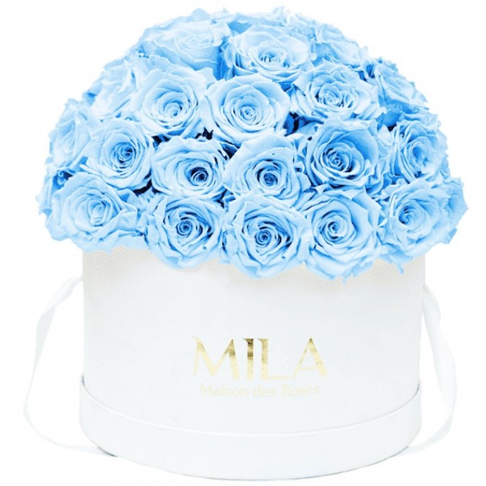 Mila Classique Large Dome White - Baby blue