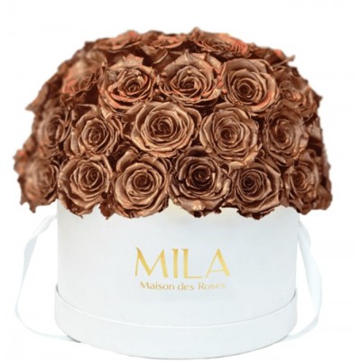 Produit Mila-Roses-01561 Mila Classique Large Dome White - Metallic Copper
