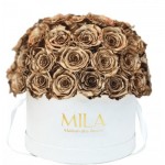  Mila-Roses-01563 Mila Classique Large Dome White - Metallic Gold