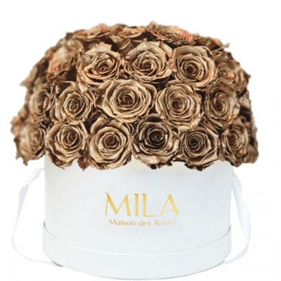 Produit Mila-Roses-01563 Mila Classique Large Dome White - Metallic Gold