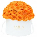  Mila-Roses-01565 Mila Classique Large Dome White - Orange Bloom