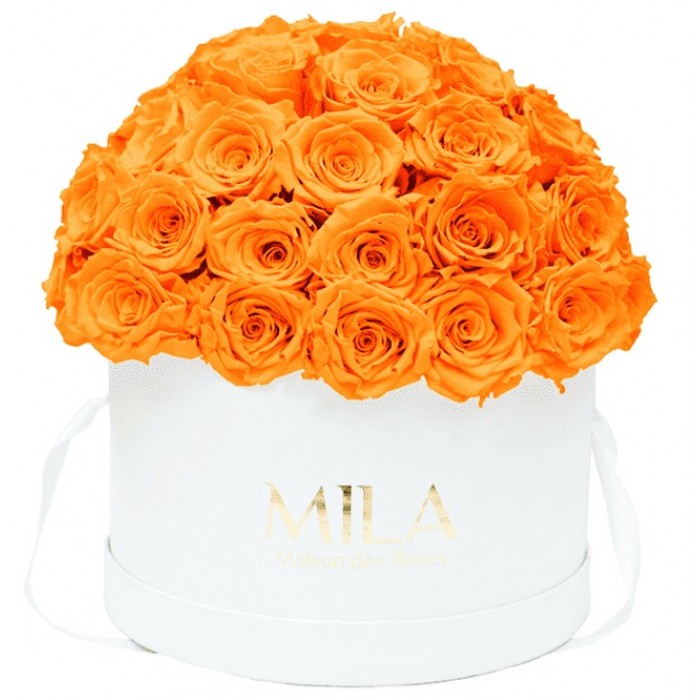 Mila Classique Large Dome White - Orange Bloom