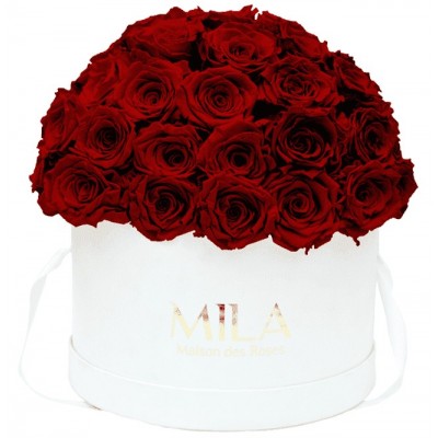 Produit Mila-Roses-01566 Mila Classique Large Dome White - Rubis Rouge