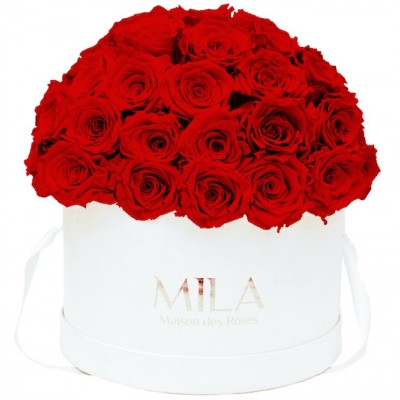 Produit Mila-Roses-01567 Mila Classique Large Dome White - Rouge Amour