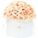  Mila-Roses-01568 Mila Classique Large Dome White - Pure Peach
