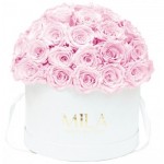  Mila-Roses-01569 Mila Classique Large Dome White - Pink Blush