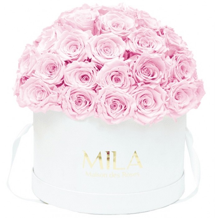 Mila Classique Large Dome White - Pink Blush
