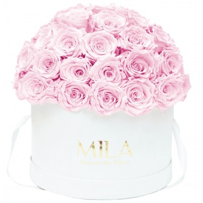 Produit Mila-Roses-01569 Mila Classique Large Dome White - Pink Blush