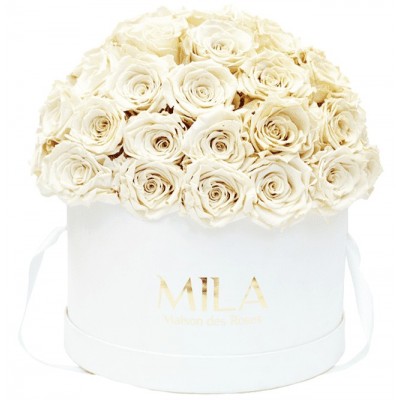 Produit Mila-Roses-01572 Mila Classique Large Dome White - White Cream
