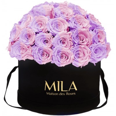 Produit Mila-Roses-01576 Mila Classique Large Dome Black - Vintage rose