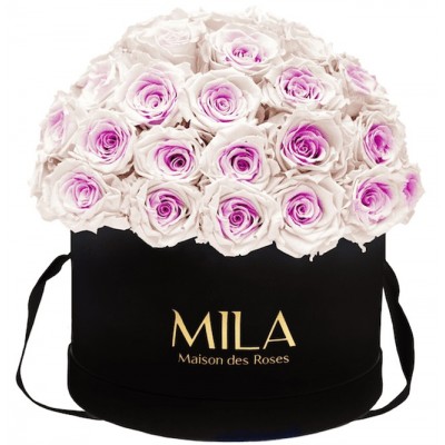 Produit Mila-Roses-01577 Mila Classique Large Dome Black - Pink bottom