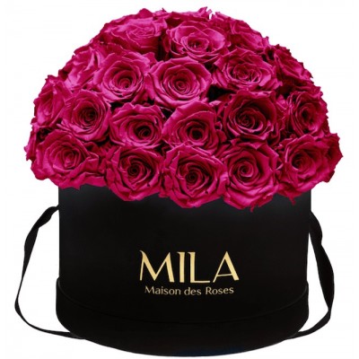 Produit Mila-Roses-01579 Mila Classique Large Dome Black - Fuchsia